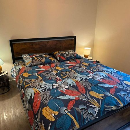 Residence Bois Du Bouchet, Appartement Vue Montagne, Calme, Parking Gratuit, Proche Centre Chamonix Exteriör bild