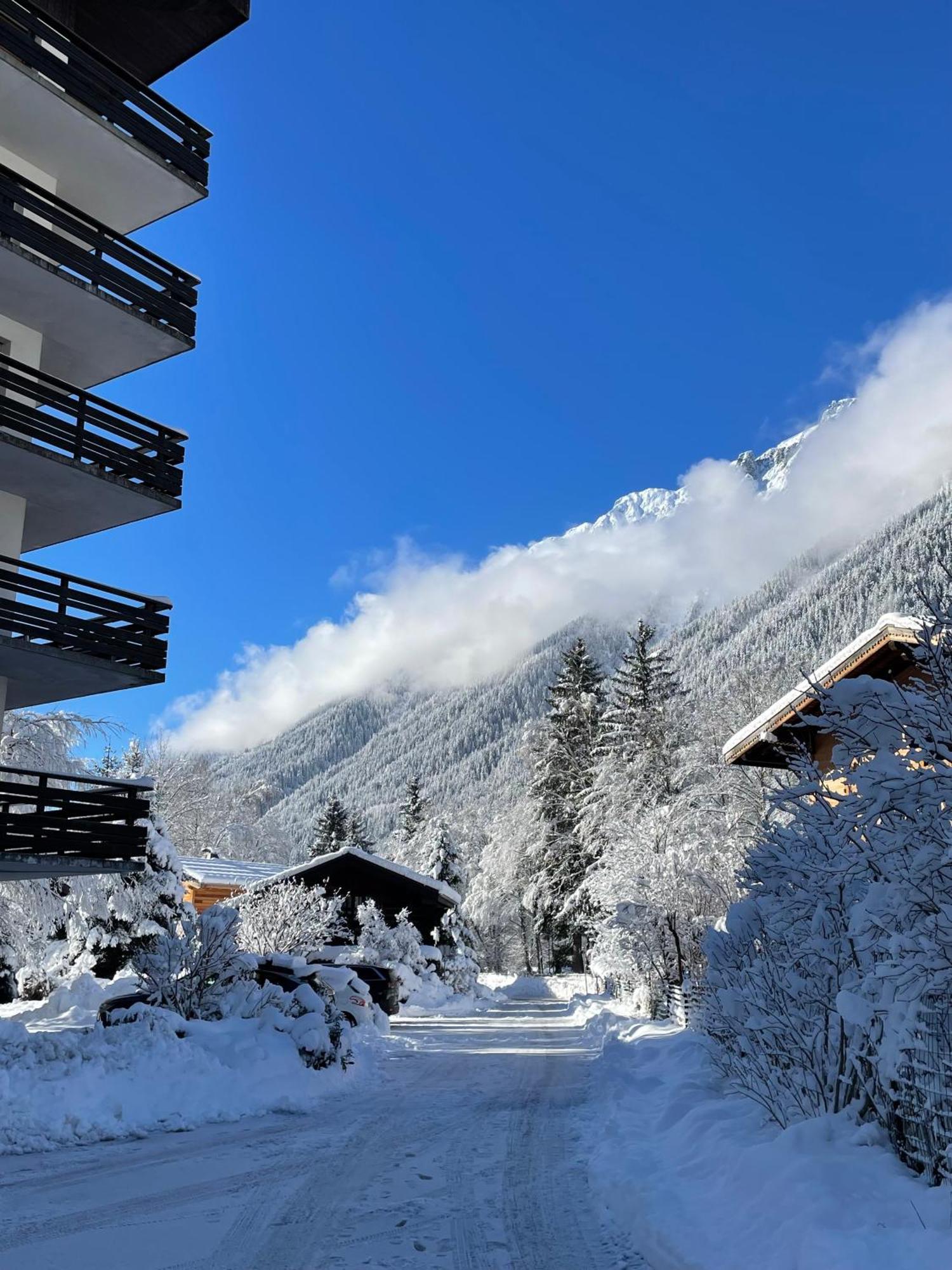 Residence Bois Du Bouchet, Appartement Vue Montagne, Calme, Parking Gratuit, Proche Centre Chamonix Exteriör bild