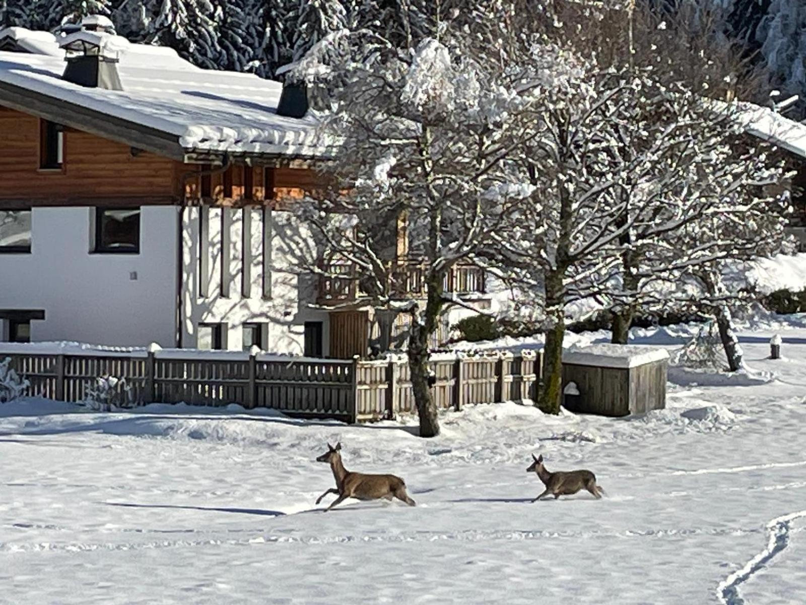 Residence Bois Du Bouchet, Appartement Vue Montagne, Calme, Parking Gratuit, Proche Centre Chamonix Exteriör bild