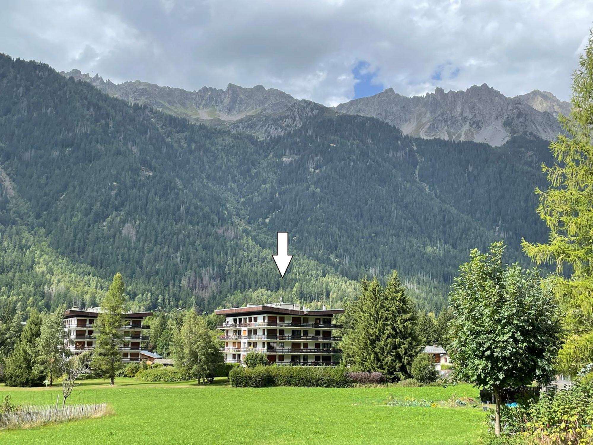 Residence Bois Du Bouchet, Appartement Vue Montagne, Calme, Parking Gratuit, Proche Centre Chamonix Exteriör bild