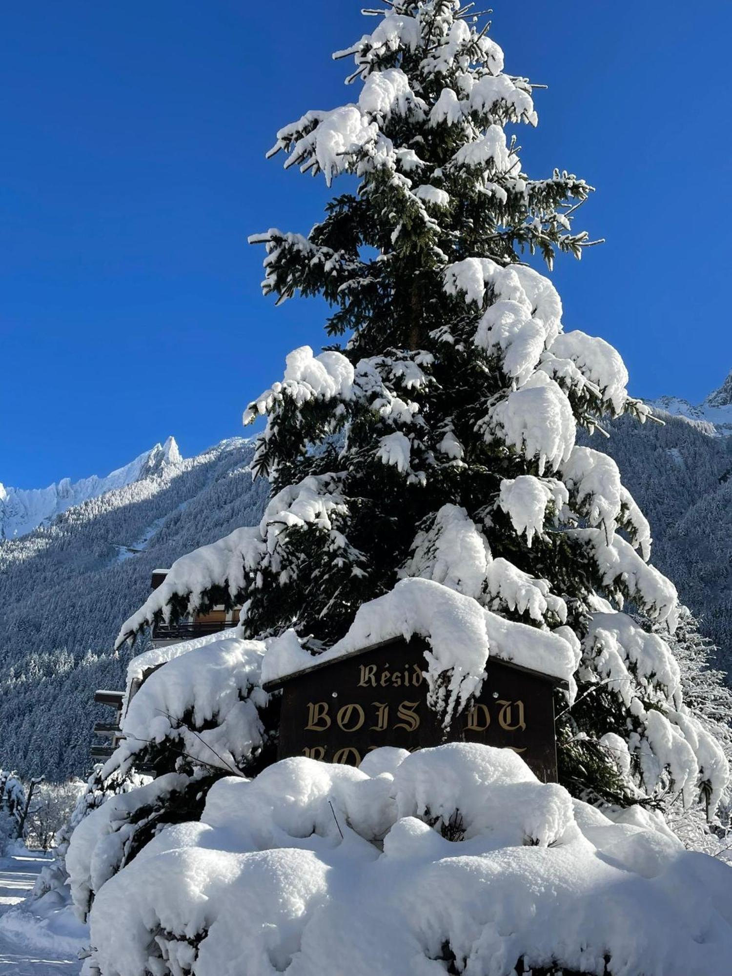 Residence Bois Du Bouchet, Appartement Vue Montagne, Calme, Parking Gratuit, Proche Centre Chamonix Exteriör bild